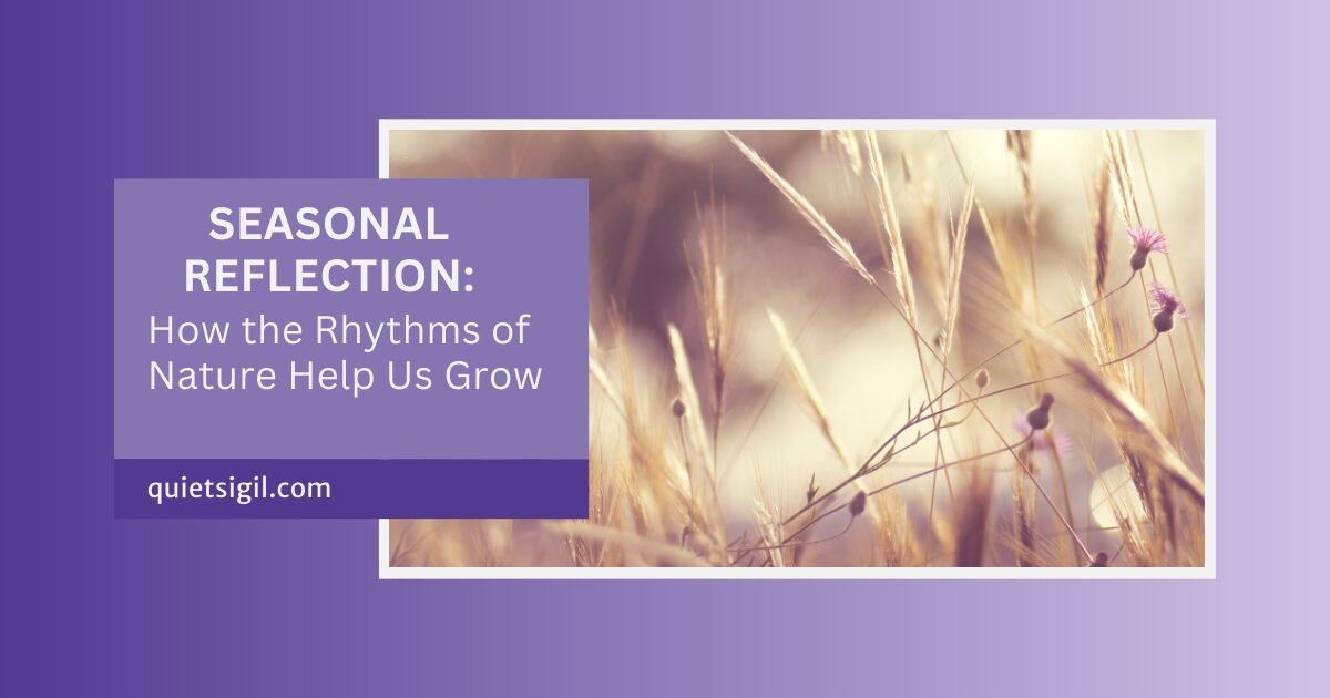 Seasonal Reflection: How the Rhythms of Nature Help Us Grow